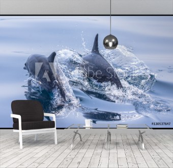 Picture of Whale watching